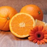 元気カラー「オレンジ」